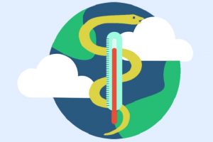 CO2-assistent, klimaatonderwijs, duurzaamheid onderwijs, geneeskunde, geneeskunde studenten, geneeskunde universiteit utrecht, vws, ocw,